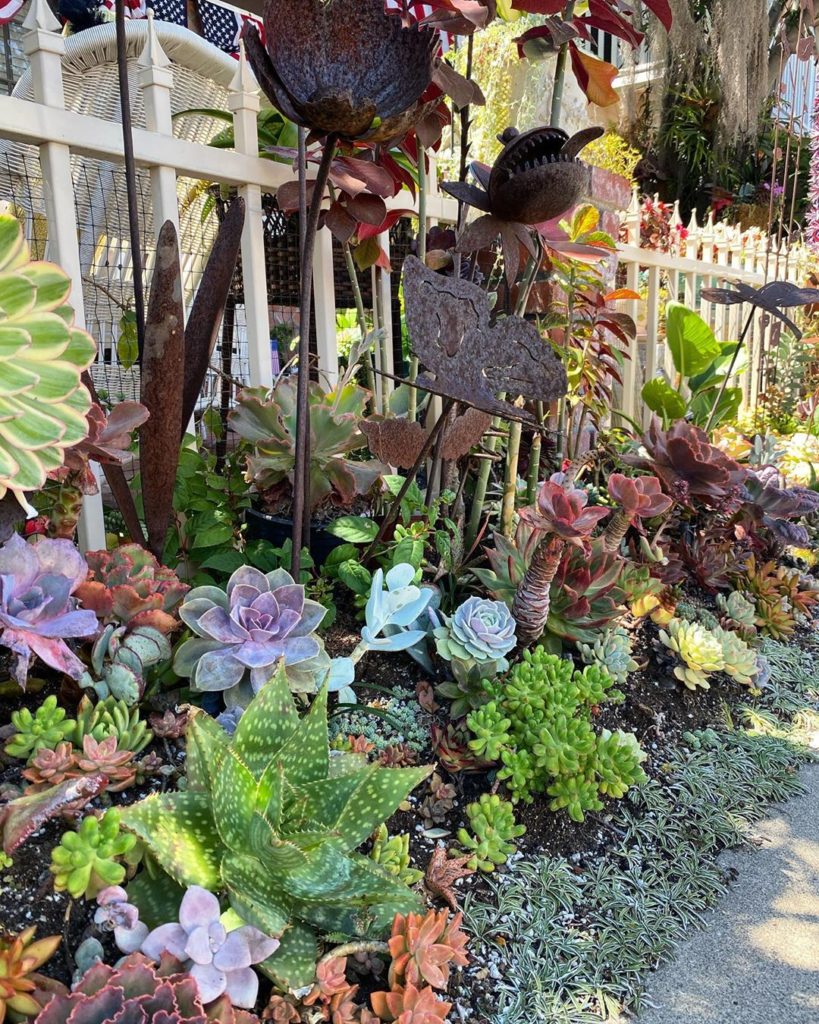 So much color! What are your favorite plants for your small garden?
.
I saw this...