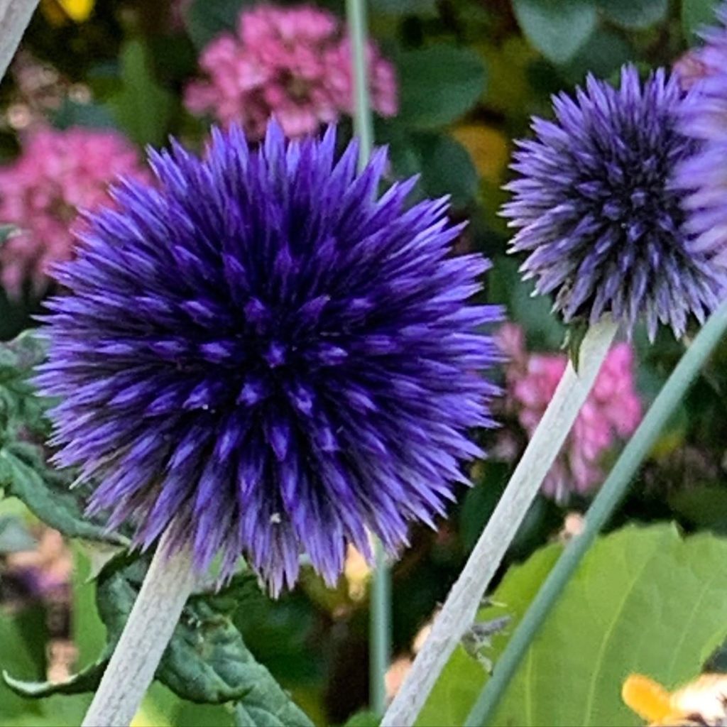 Precision engineering! I can’t draw a circle freehand (mainly ‘cos I really can’...