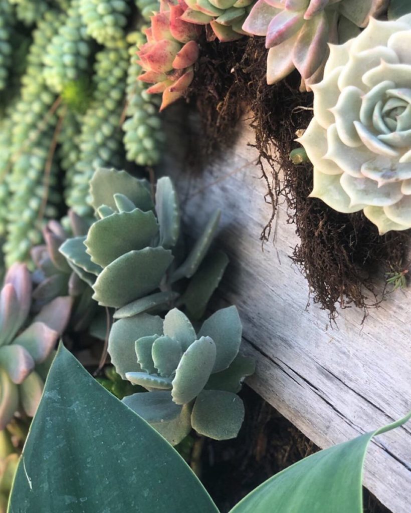 Friendly reminder... drink more water, give yourself positive affirmations, spen...