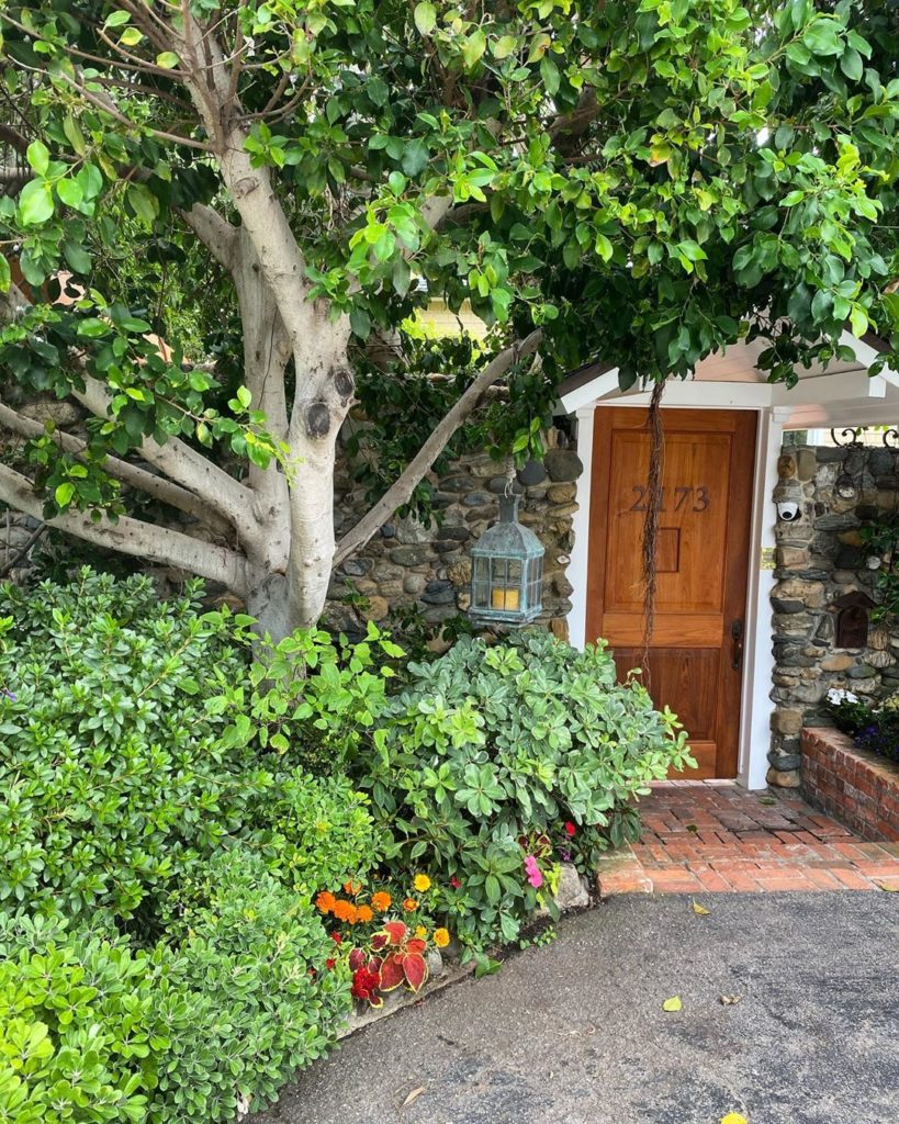 I love this hanging lantern. The gate offers privacy, but the plantings are frie...