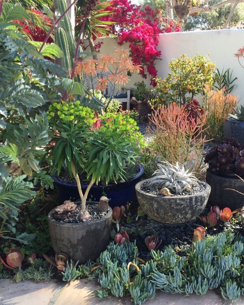 "A garden is a relation. which is one of the countless reasons why it is never f...