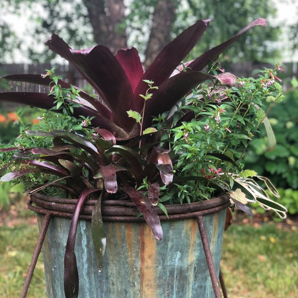 Do you design containers? Message us and we will share our favorites over the we...