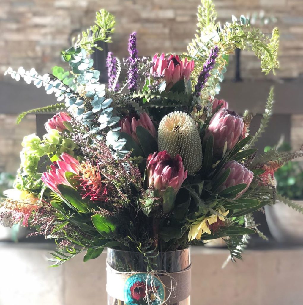 Yes she loved it. Thanks @arvoredeluzfarm in Fallbrook....