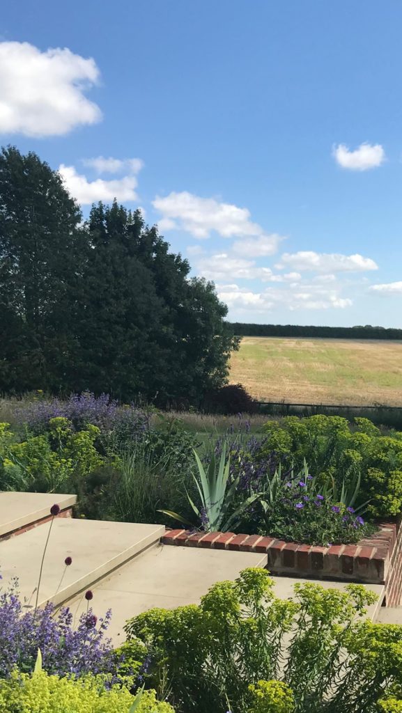 Finally get to see this garden in Hampshire being used and enjoyed by the family...