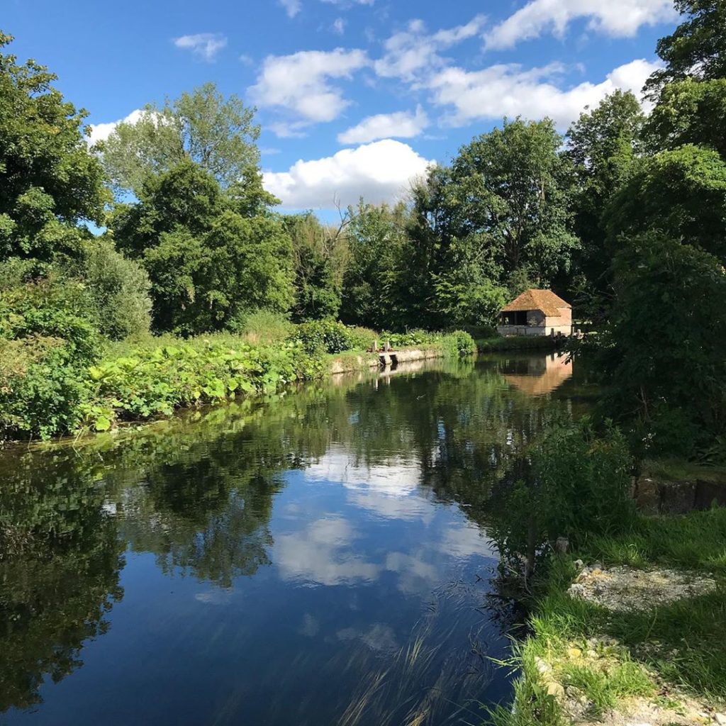 Reflections on the #riveravon in the #woodfordvalley on a #summersday 

#chalkri...