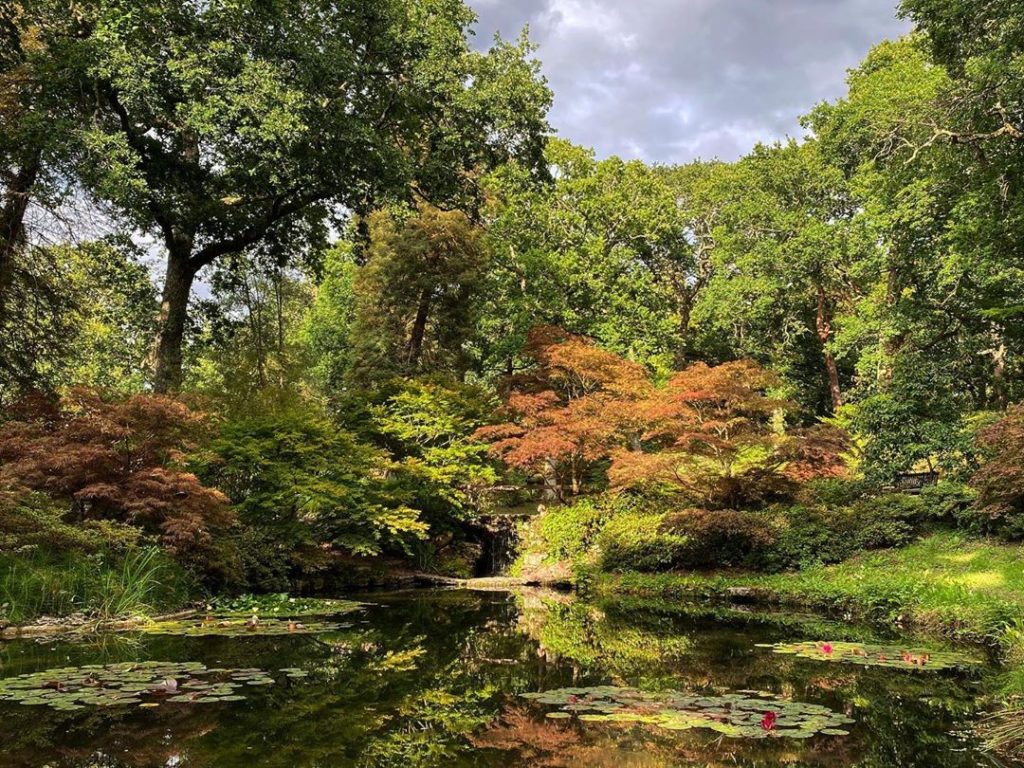 #WheresWillow #Wednesday...