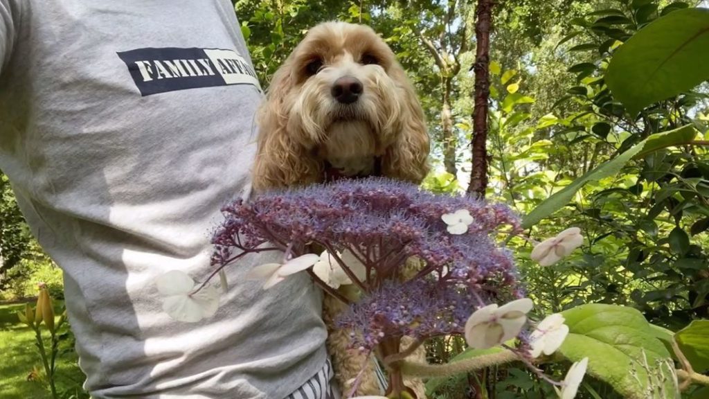 #Fun #Facts #Friday......