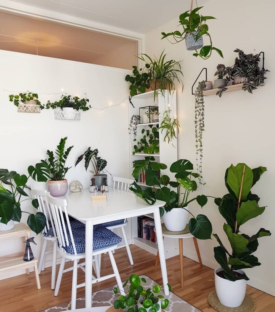 This photo makes me feel like I've interrupted a very important plant meeting  P...