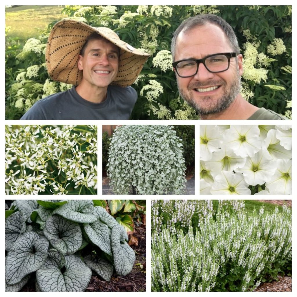 gardendesignmag: Want a garden that “glows” in the dark? Plant a Moonlight Garden! @joshandbrent … Want a garden that "glows" in the dark? Plant a Moonlight Garden! @joshandbrent ...