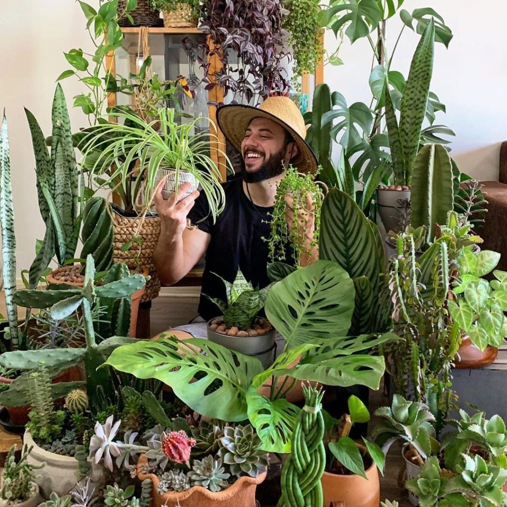 Today's a good day to hang out with your plants (and so is every day, if you ask...