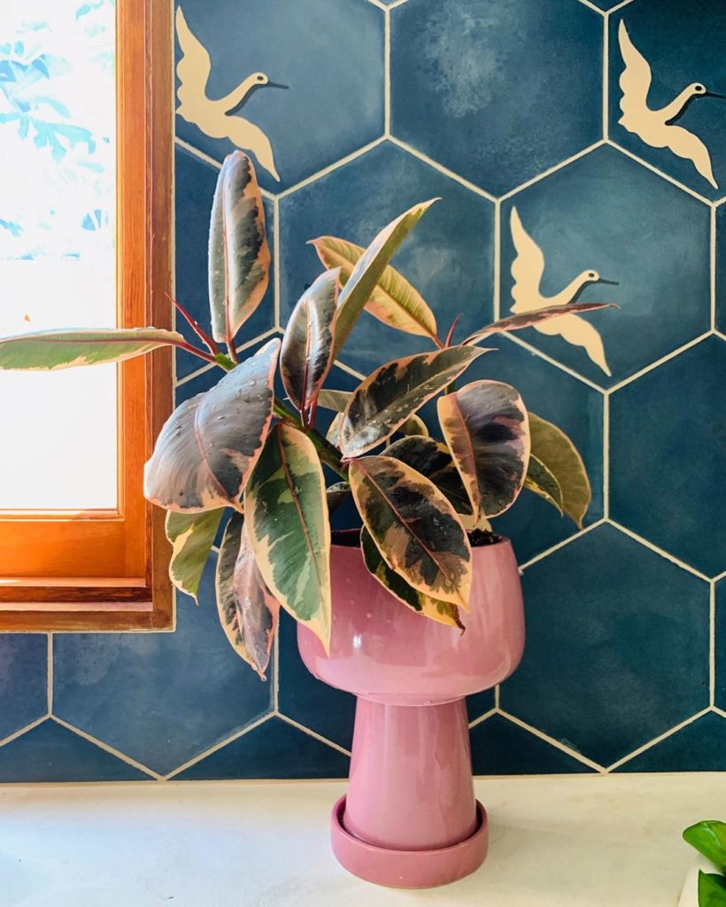 thejungalow: Finding the perfect pot for your planties is like being a stylist — gotta find t… Finding the perfect pot for your planties is like being a stylist — gotta find t...