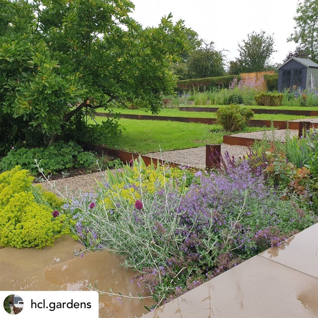charlotterowegardens: Reposting a good photo of our new garden in Hampshire on a dreary rainy summer d… Reposting a good photo of our new garden in Hampshire on a dreary rainy summer d...