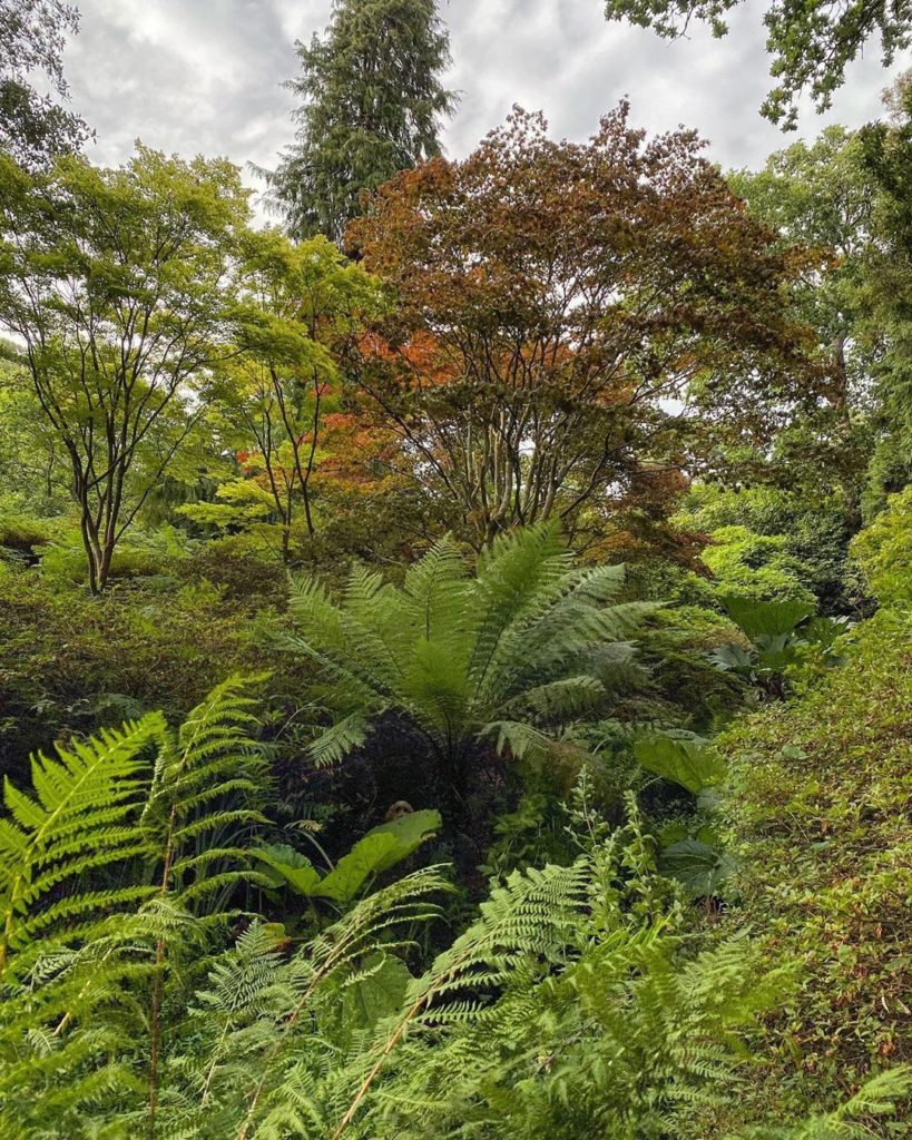 #WheresWillow #Wednesday...