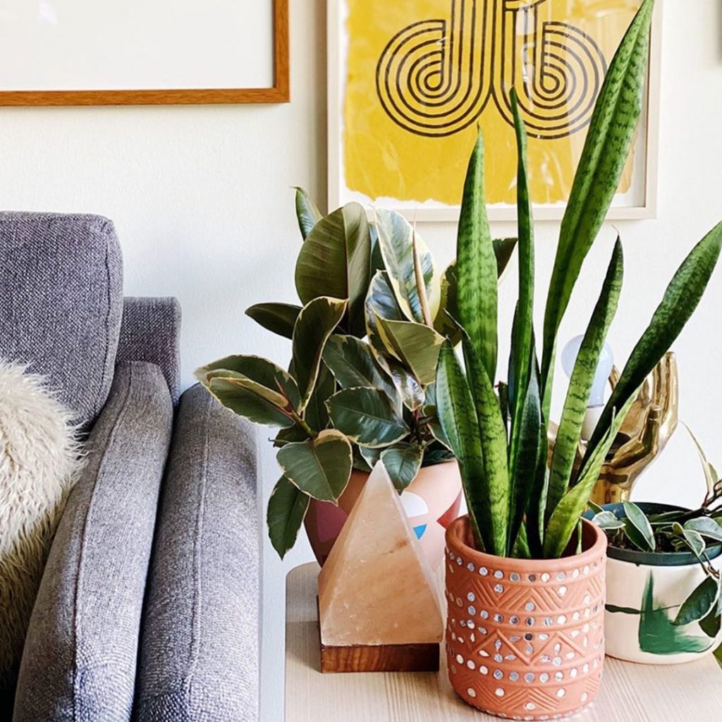 So many pretty things in the home of @kbing  #jungalow...