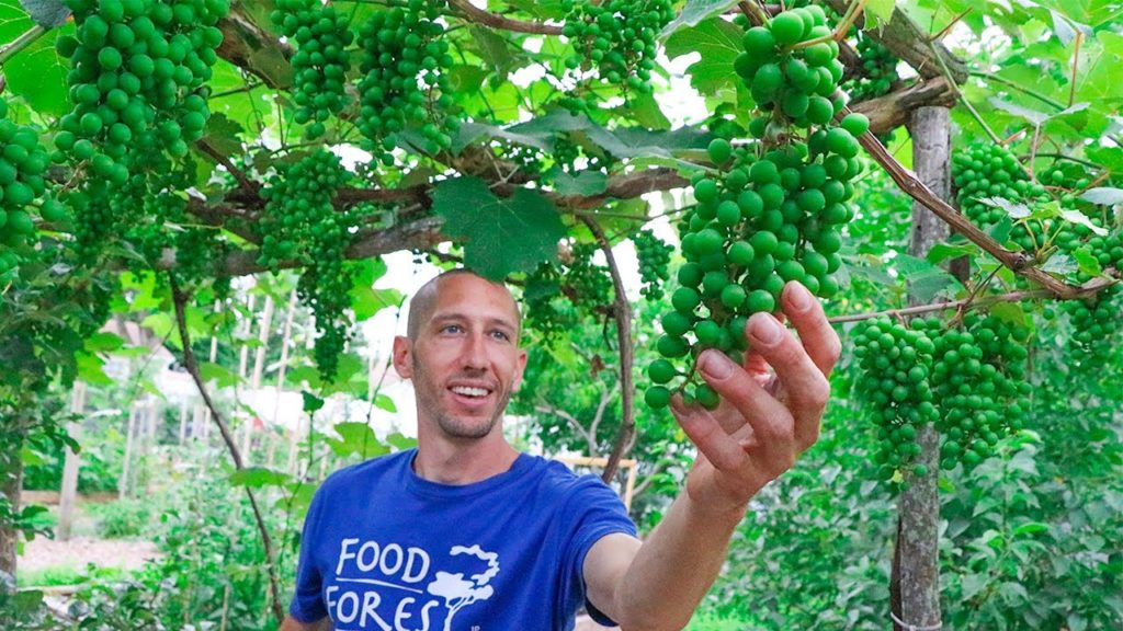 DON'T Grow a Normal Garden, Grow One Like THIS!