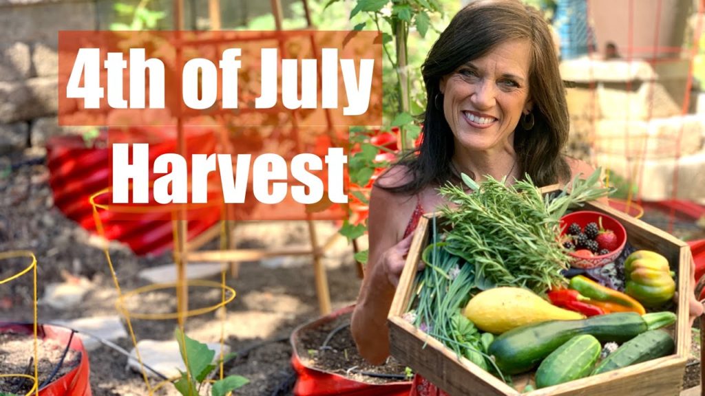4th of July Harvest from the Garden Grocery Store! 🇺🇸🍅🥒🎇