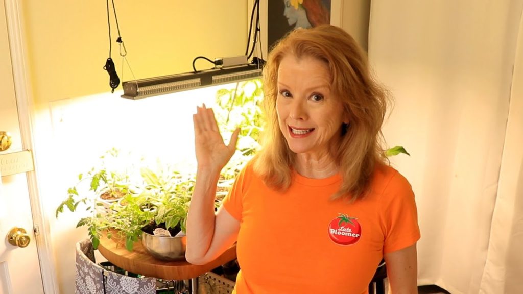 GROW LIGHT REVIEW | Mars Hydro SP 150 LED