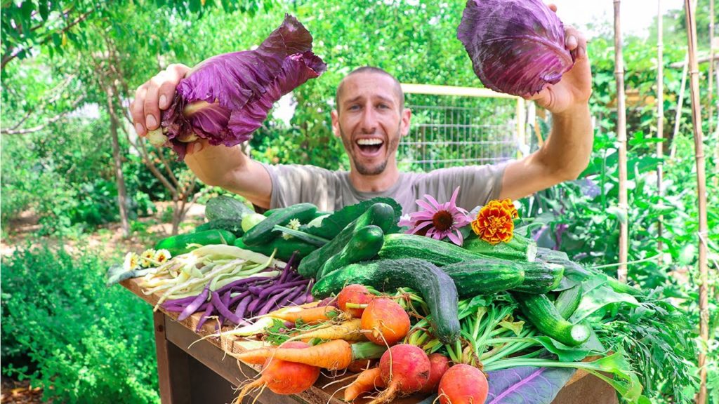 James Prigioni: Incredible Backyard Gardening Harvest, Sustainable Food Forest Garden Incredible Backyard Gardening Harvest, Sustainable Food Forest Garden