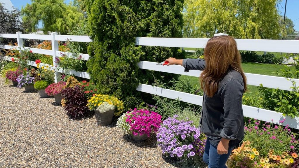 Garden Answer: Flower Alley Update! 🌸💚🌼// Garden Answer Flower Alley Update! 🌸💚🌼// Garden Answer