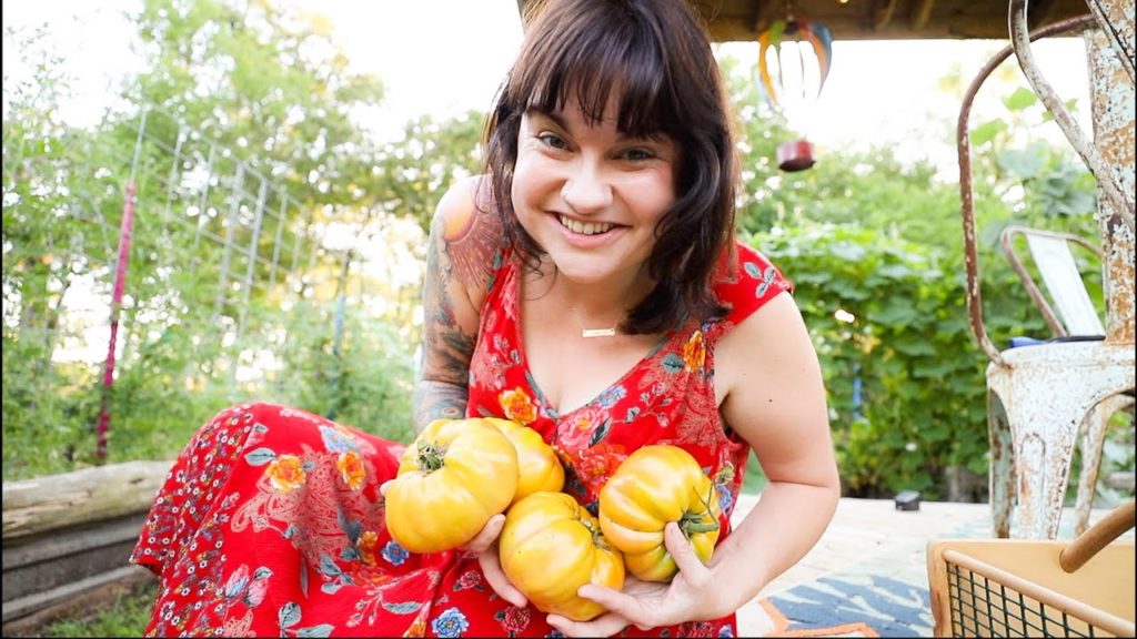 Huge Tomato Time (DON'T GIVE UP!) | VLOG