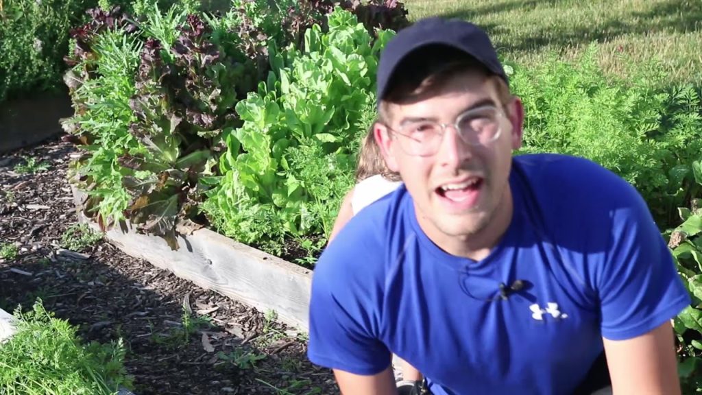 Harvesting Our Stunning Carrots and Teaching A Valuable Lesson About Spacing