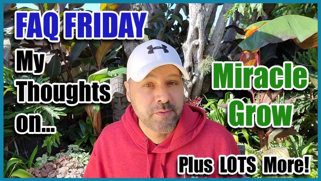FAQ FRIDAY.  My thoughts on Miracle Grow Plus Much More!!