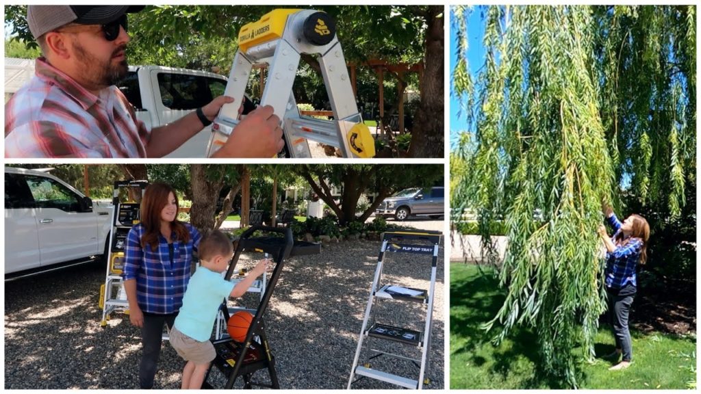Garden Answer: Gorilla Ladder Giveaway & Pruning Our Weeping Willow! 🌿✂️🙌// Garden Answer Gorilla Ladder Giveaway & Pruning Our Weeping Willow! 🌿✂️🙌// Garden Answer