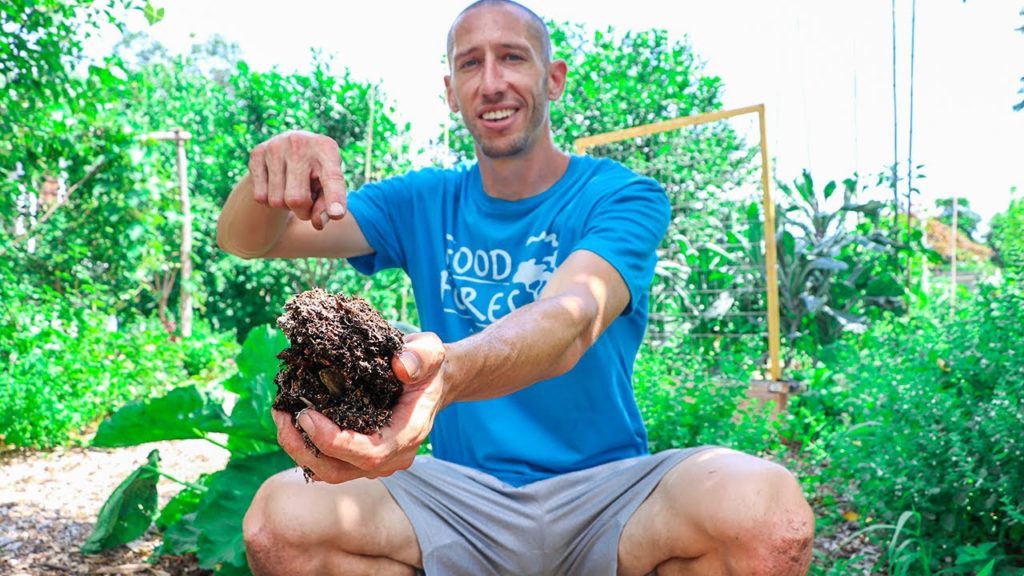 James Prigioni: This is Why I'm NOT Gardening with WOOD CHIPS this Year This is Why I'm NOT Gardening with WOOD CHIPS this Year