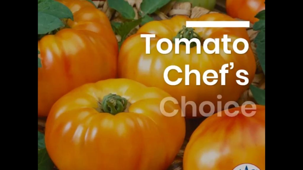 Beefsteak Style Tomato - Chef s Choice Bi Color