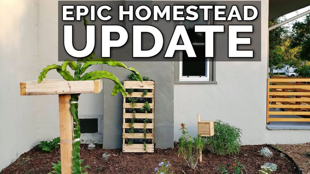 Epic Urban Homestead Tour | 1 Month Update