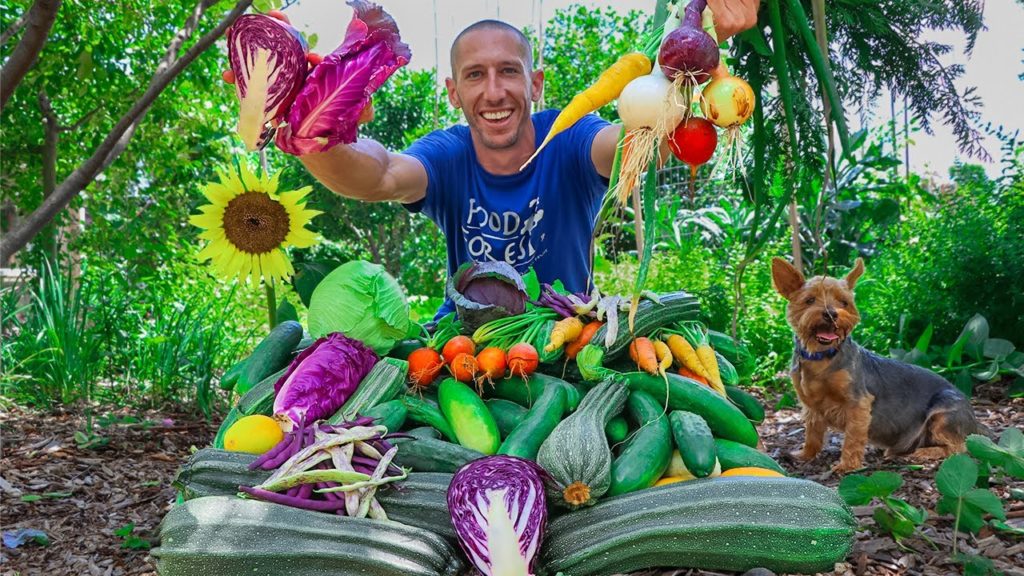 Backyard Gardening Harvest, Suburban Permaculture at its Finest!