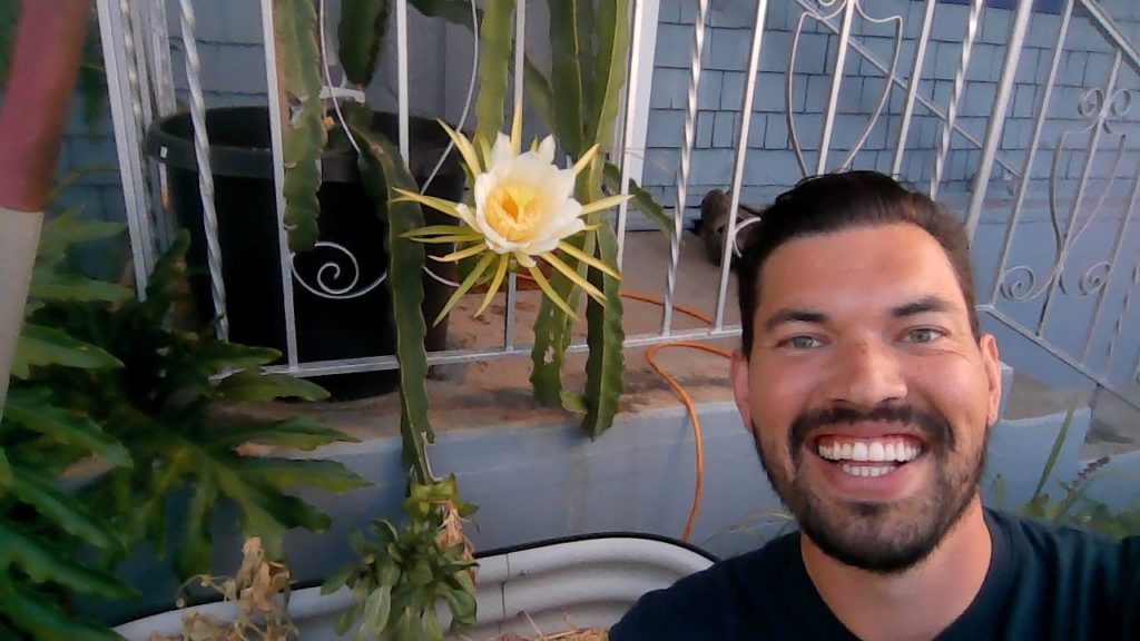 Epic Gardening: LIVE Dragonfruit Bloom and Gardening Q&A! LIVE Dragonfruit Bloom and Gardening Q&A!