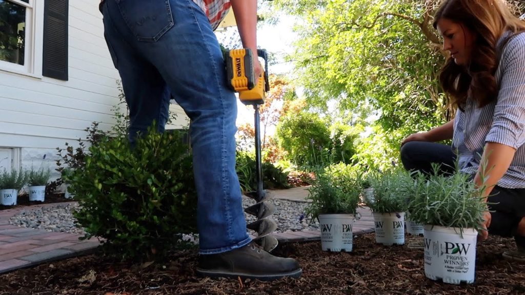 Garden Answer: Planting Lavender! 💜🌿// Garden Answer Planting Lavender! 💜🌿// Garden Answer