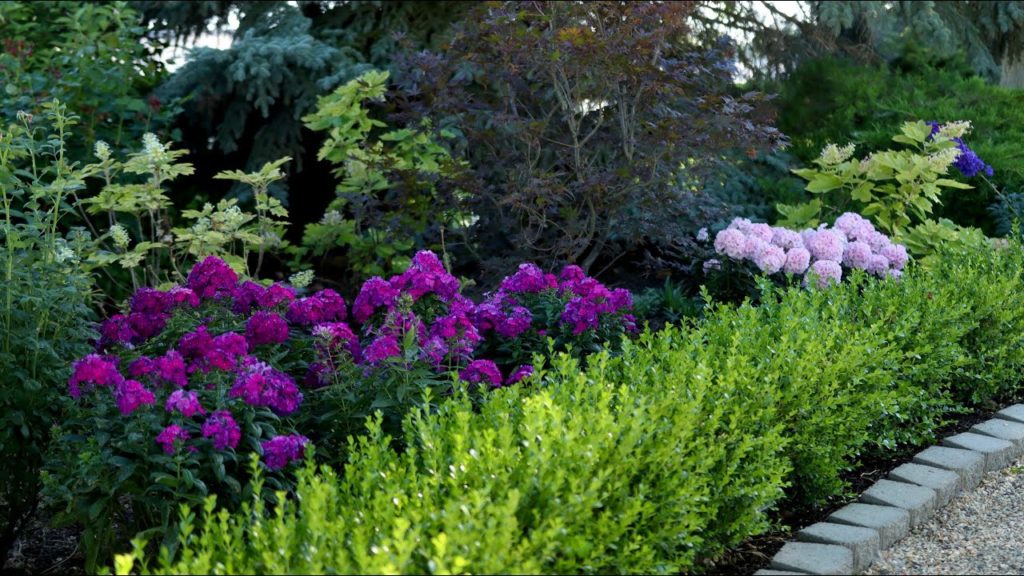 Garden Answer: I Didn’t Realize I Needed Color in This Spot! 🌿// Garden Answer I Didn’t Realize I Needed Color in This Spot! 🌿// Garden Answer