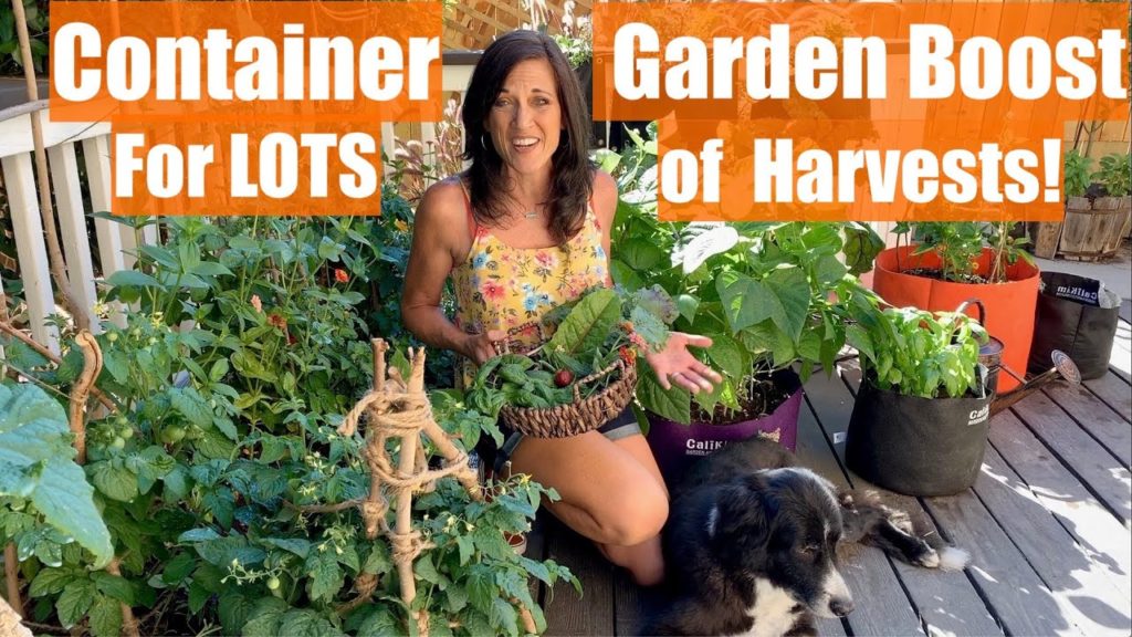 How to do a Container Garden Mid Season Boost to Keep Harvests Coming/Container Garden Series #5