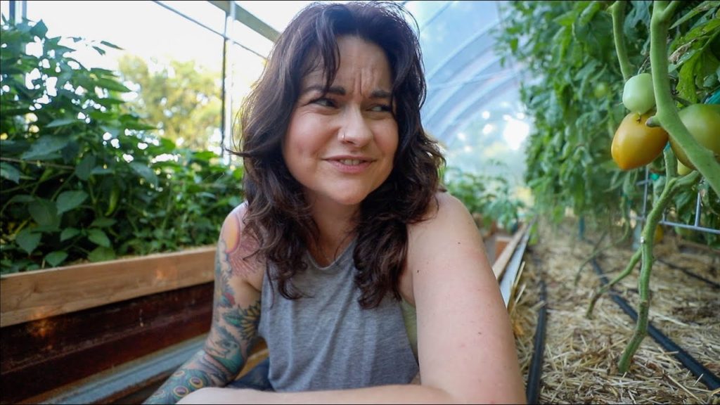 Roots and Refuge Farm: The Preserving Tip and Easy Recipe EVERY Tomato Grower Should Know | VLOG The Preserving Tip and Easy Recipe EVERY Tomato Grower Should Know | VLOG