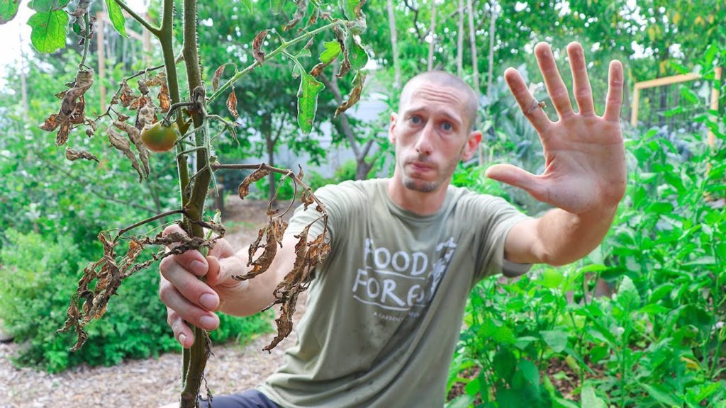 5 Garden MISTAKES You DON'T want to make in July and August!