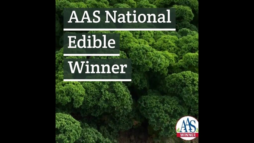 All-America Selections Flowers & Vegetables: Kale Prism – Easy To Grow Kale Prism - Easy To Grow