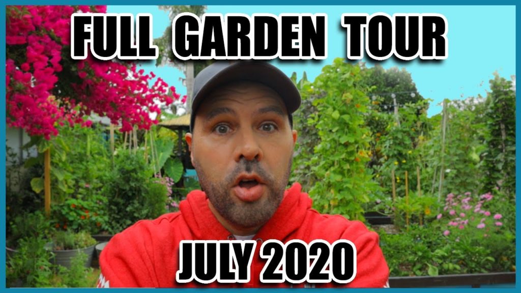 Full Organic Vegetable Garden Tour - July 2020 - California Garden TV