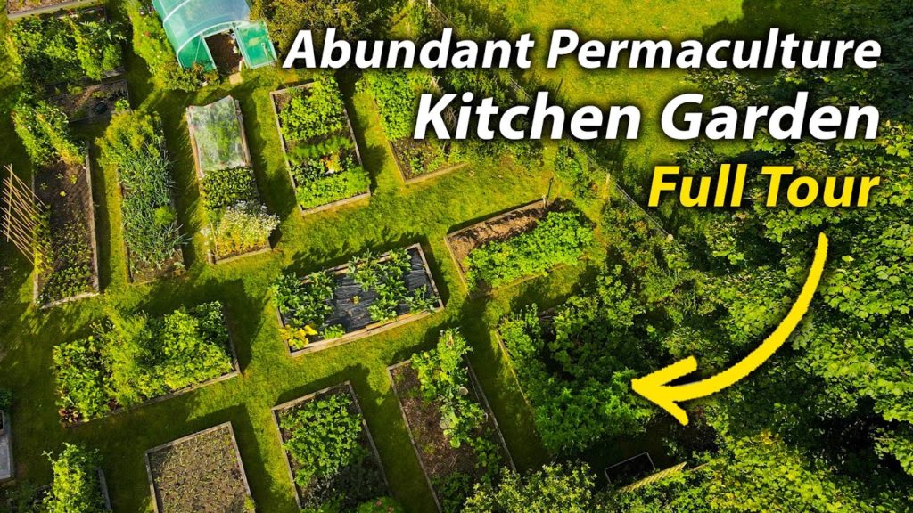 Vegetable Garden Tour 🌱 No Dig & 100% Organic [July 2020]