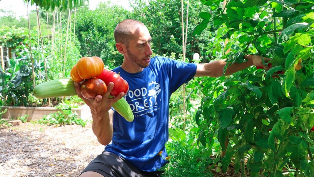 James Prigioni: The Surprisingly Simple Truth Behind My Amazing Gardening Results The Surprisingly Simple Truth Behind My Amazing Gardening Results