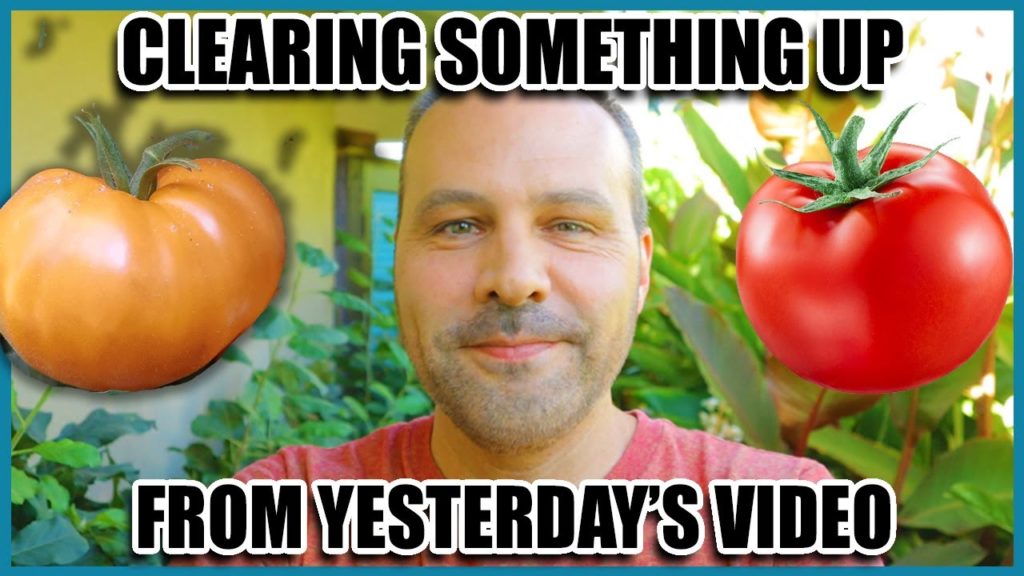 Clearing Something Up About Yesterdays Tomato Tuesday Video