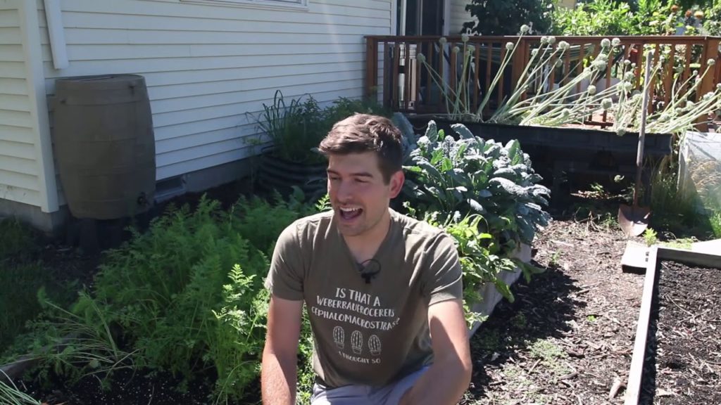 4 Things I would Have Done Differently As a Beginning Gardener