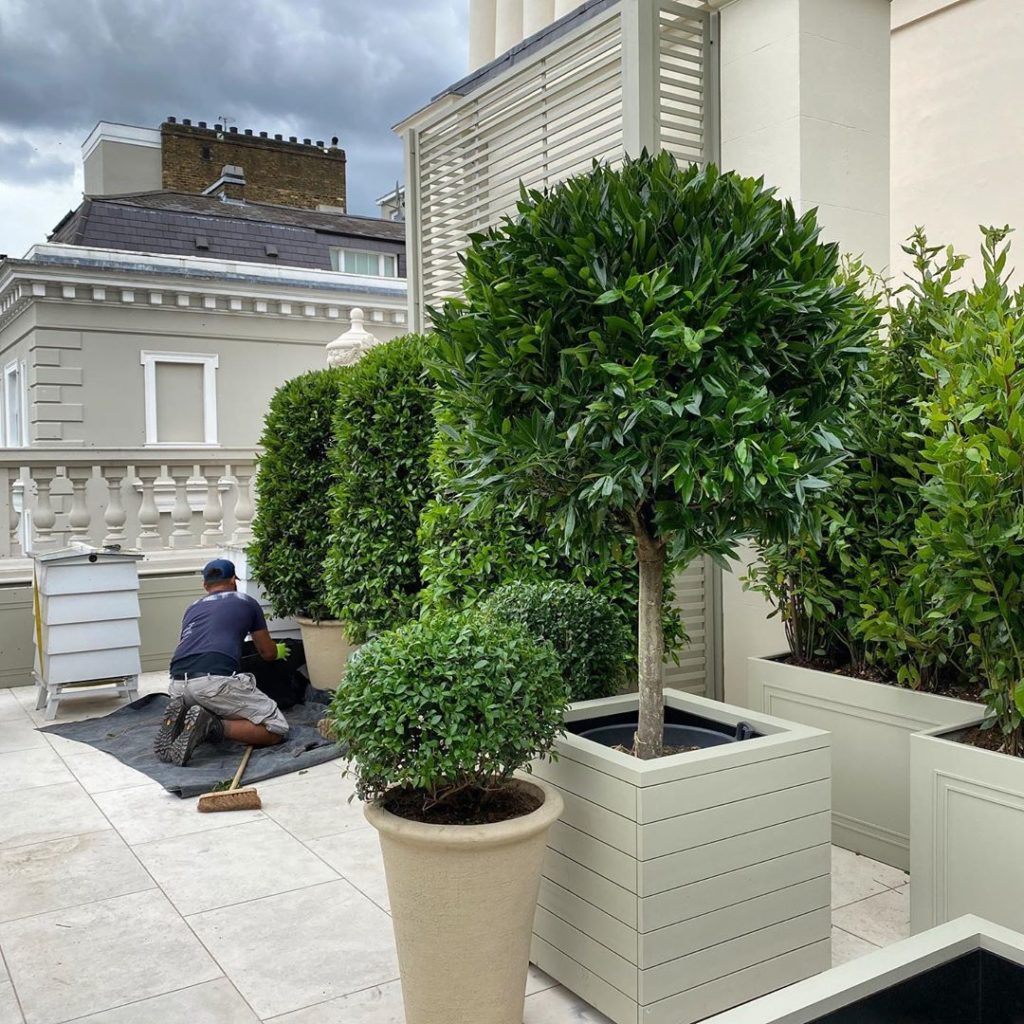 Back in action #sociallydistanced #roofterrace #installation #london with @garde...