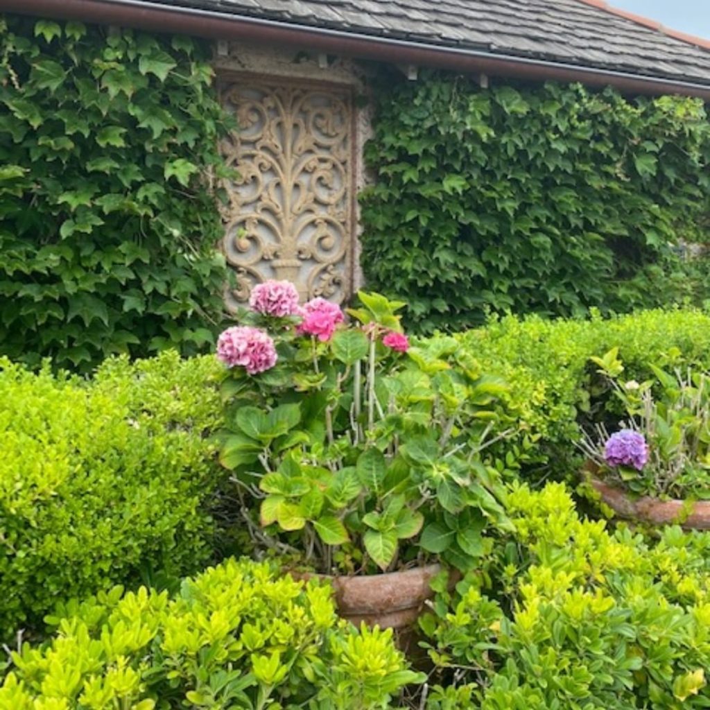 Do you prefer leaning about plants, or getting garden design ideas from us?
.
.
...