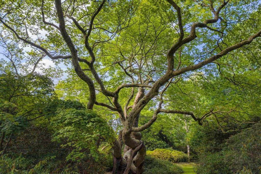 #WheresWillow #Wednesday......