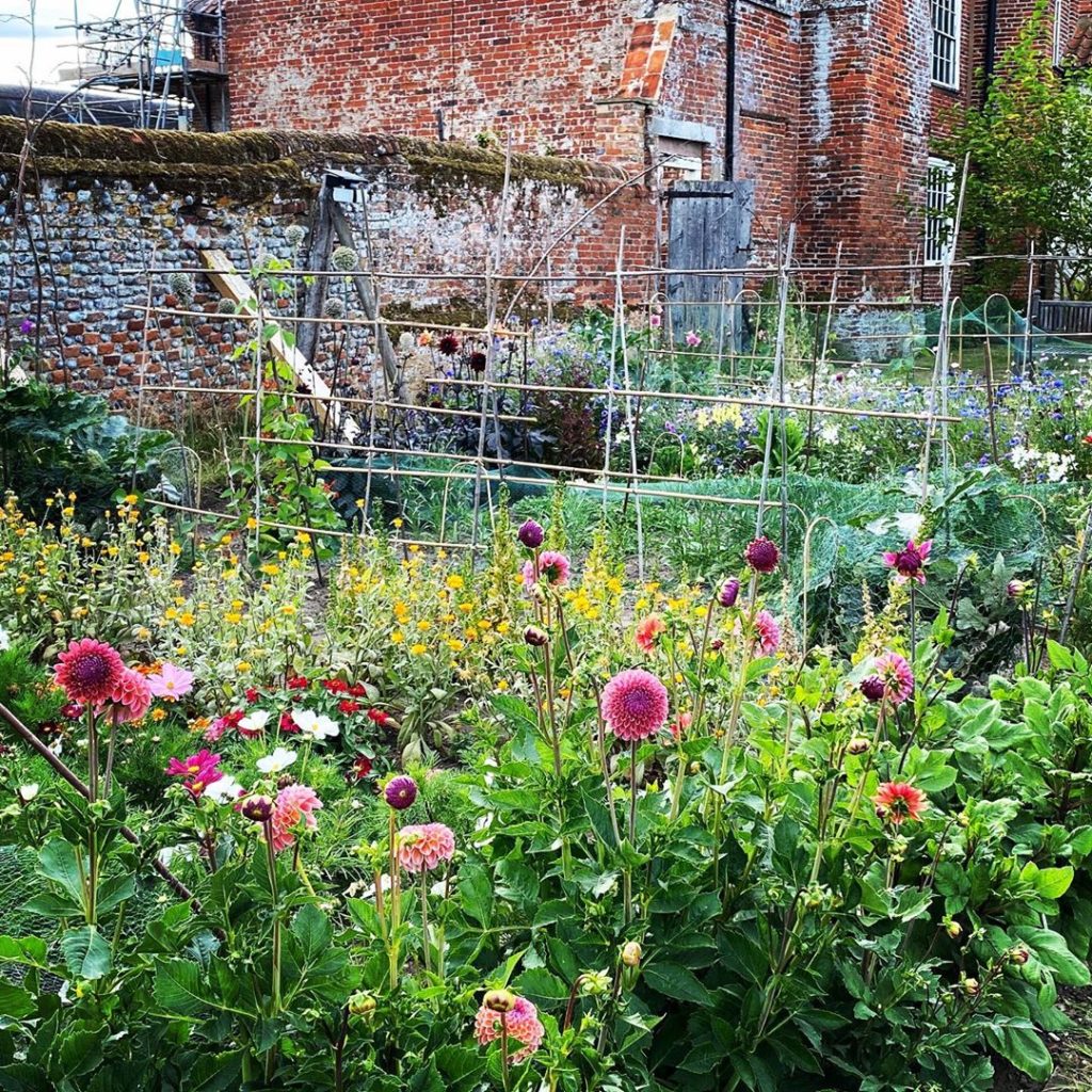 Lockdown efforts paying off #notbadforyearone #newgarden #newhouse #suffolk #nor...