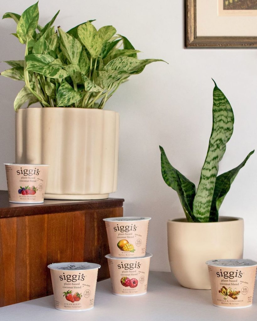 thesill: GIVEAWAY  We’re all about plants and the happiness they give us, which is why we… GIVEAWAY  We’re all about plants and the happiness they give us, which is why we...