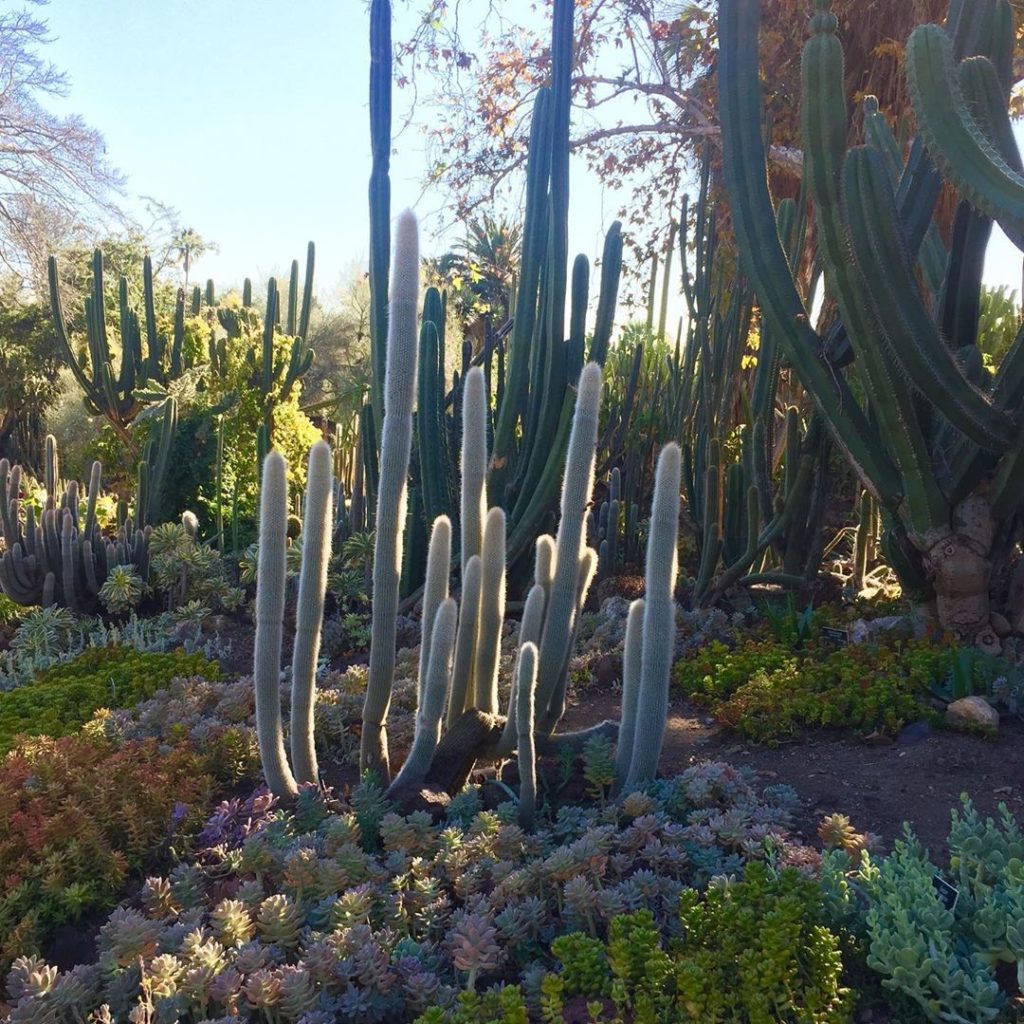 Been to @thehuntingtonlibrary (Huntington Gardens)? If you’re in the LA area- a ...