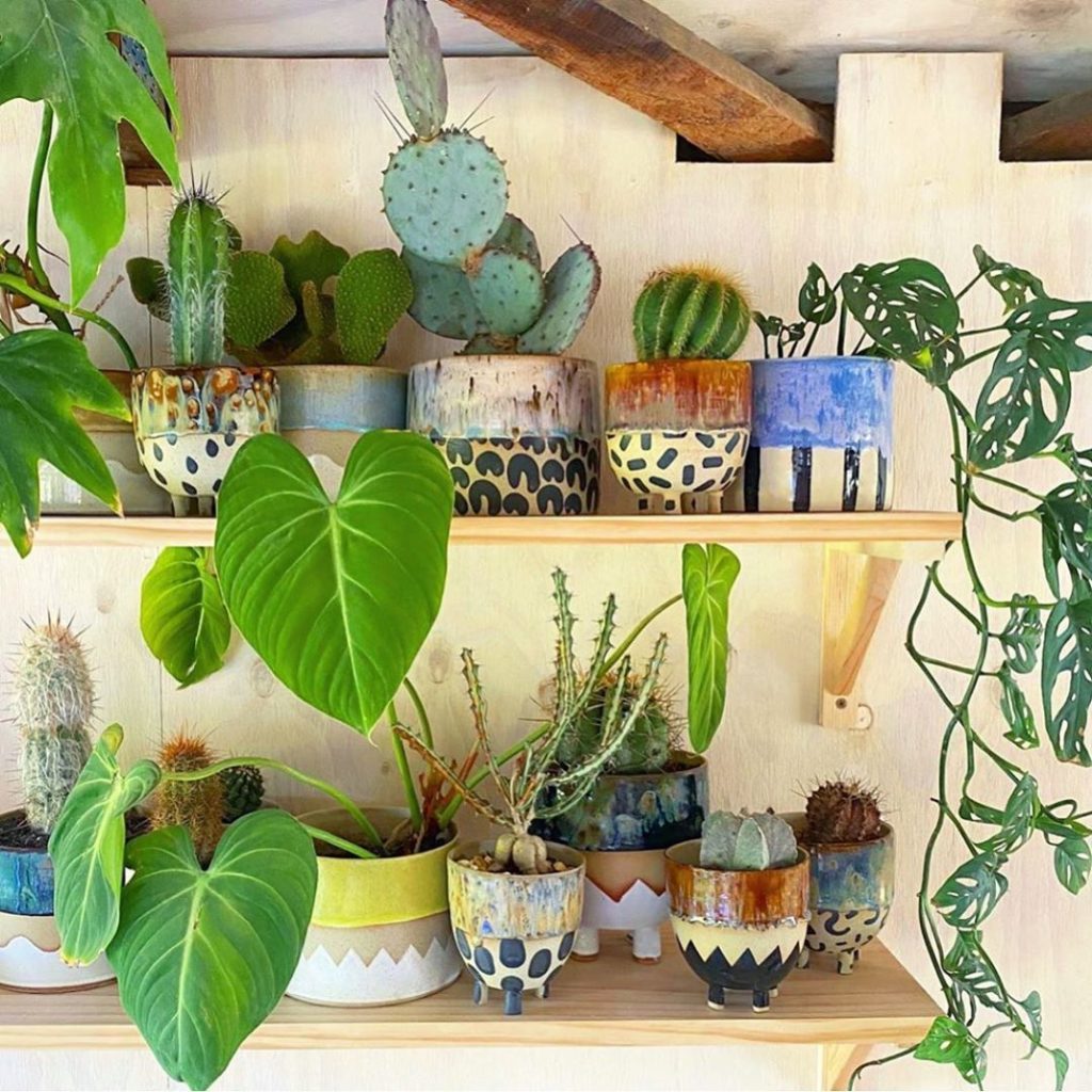 Here are a few of my favorite things  (pc: @itsapublicholiday)...